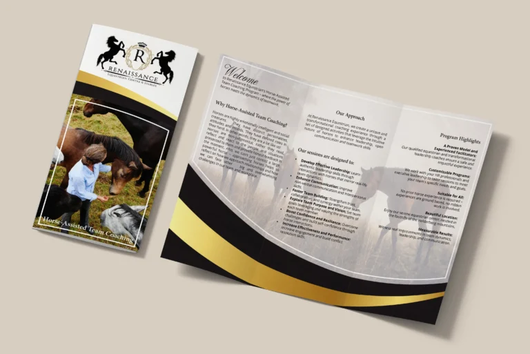 graphic-design-brochure-south-africa_04