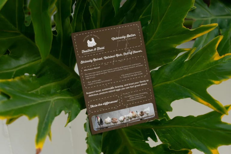 Flyer Design